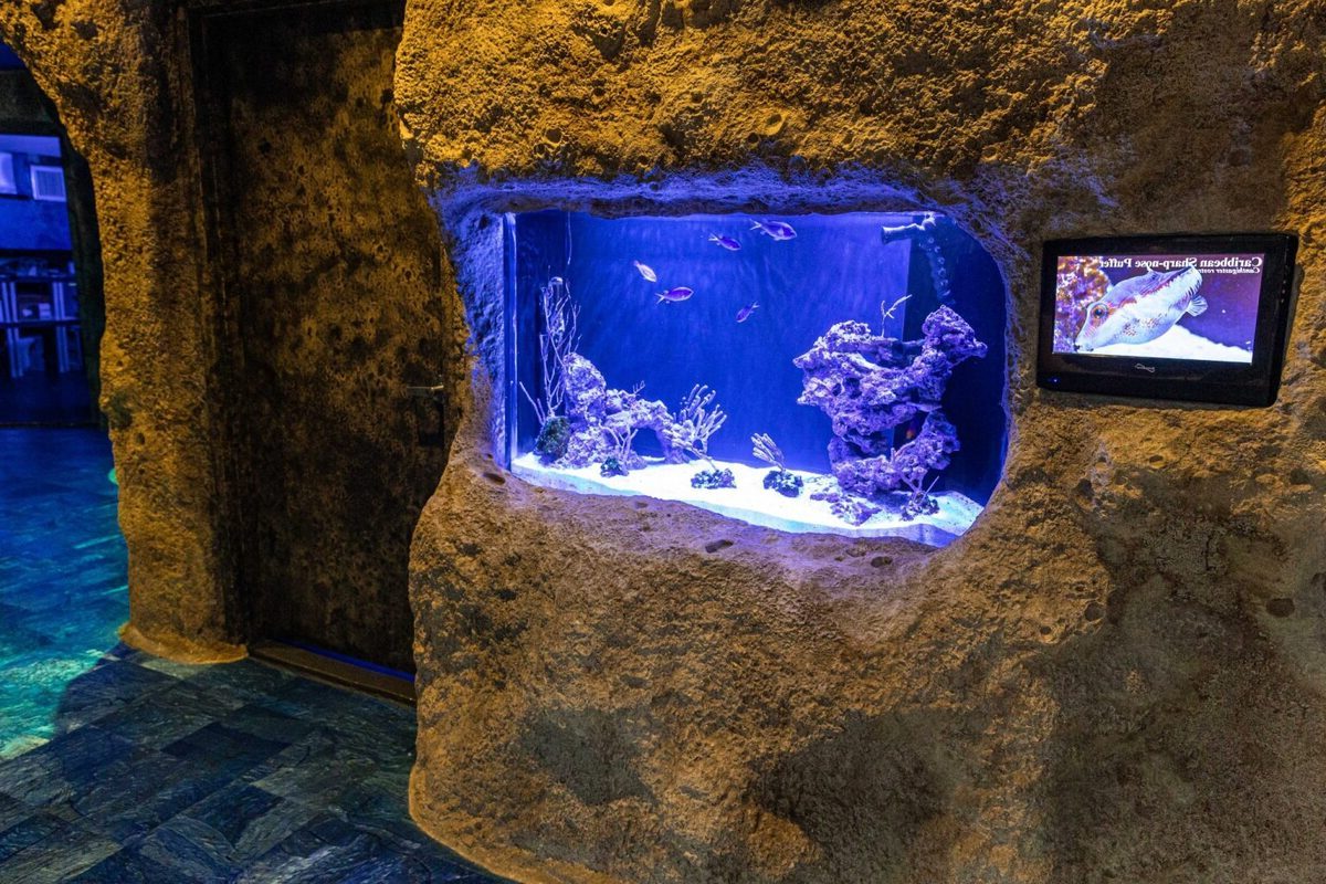 Dive-Into-Fun-At-Jenkinson8217s-Aquarium-Touch-Tanks dive-into-fun-at-jenkinsons-aquarium-touch-tanks