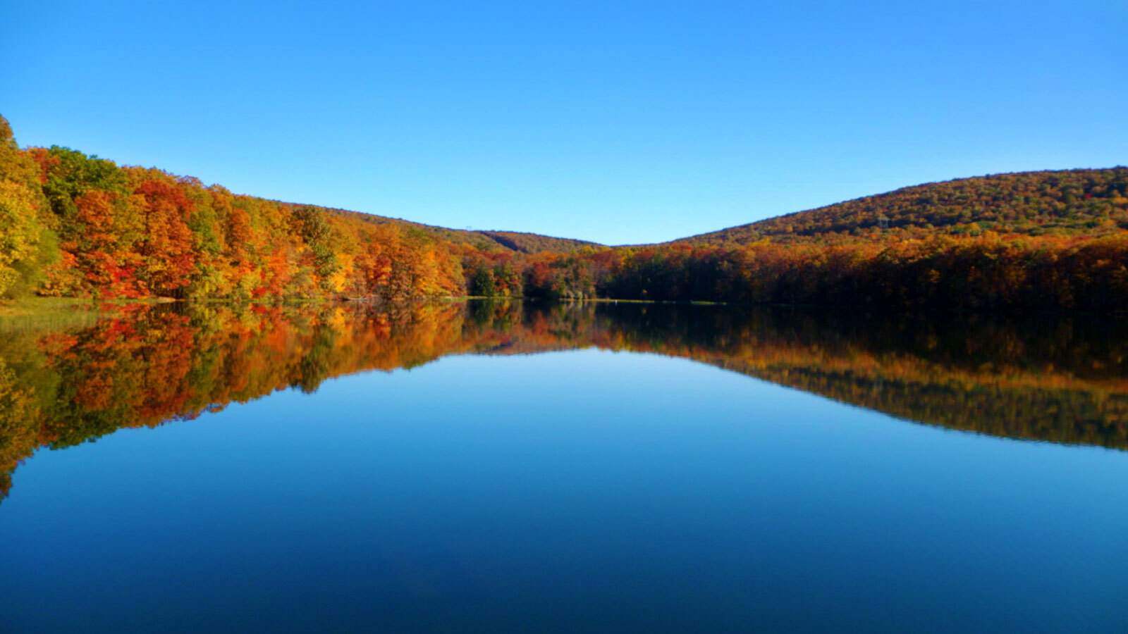 enchanting-forest-escapes-at-locust-lake-state-park