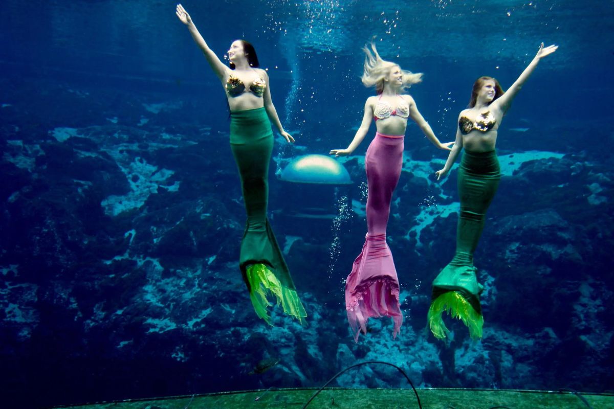 Enchanting-Mermaid-Magic-At-Weeki-Wachee-Springs enchanting-mermaid-magic-at-weeki-wachee-springs
