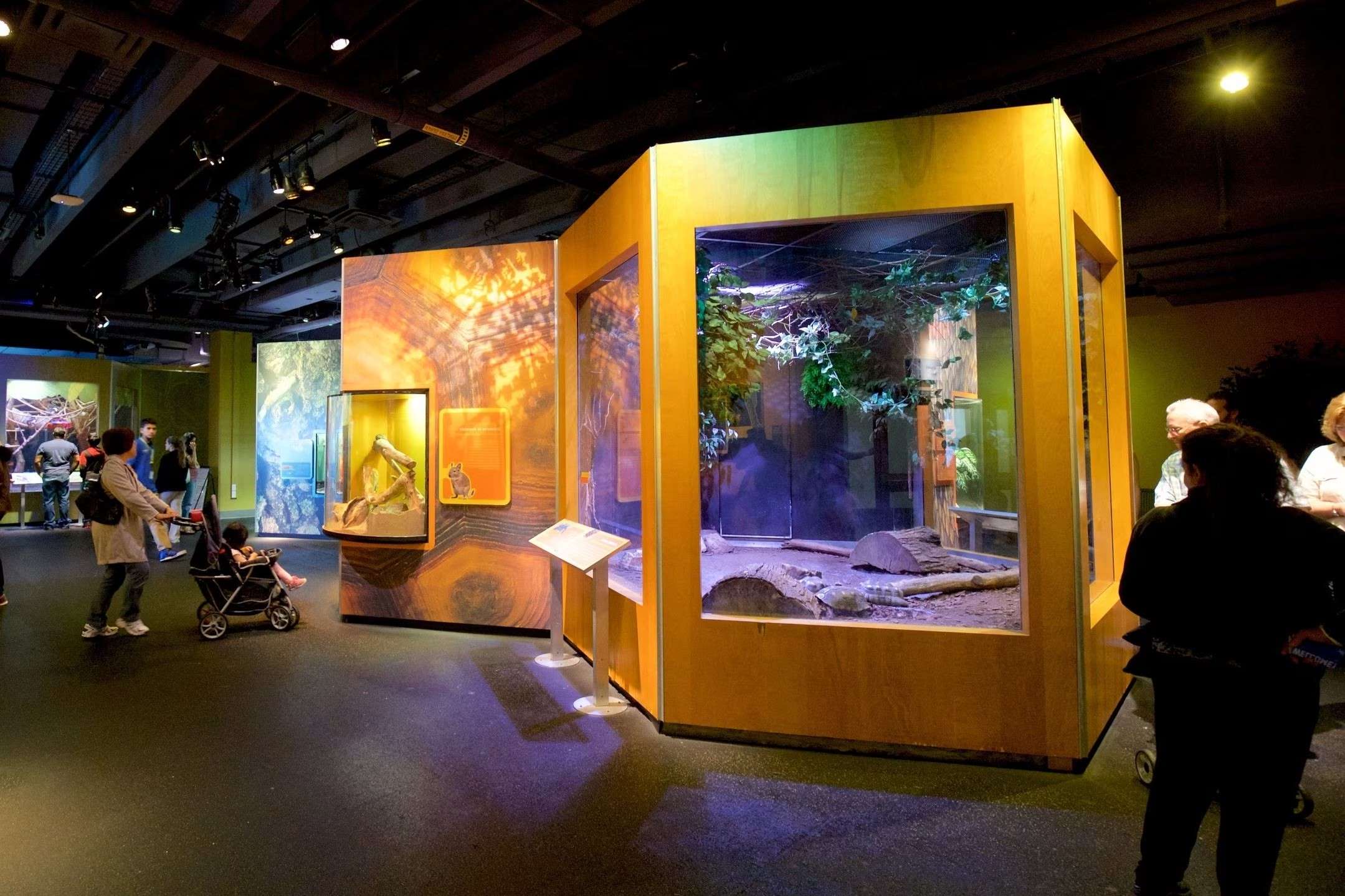 engage-your-senses-at-liberty-science-center