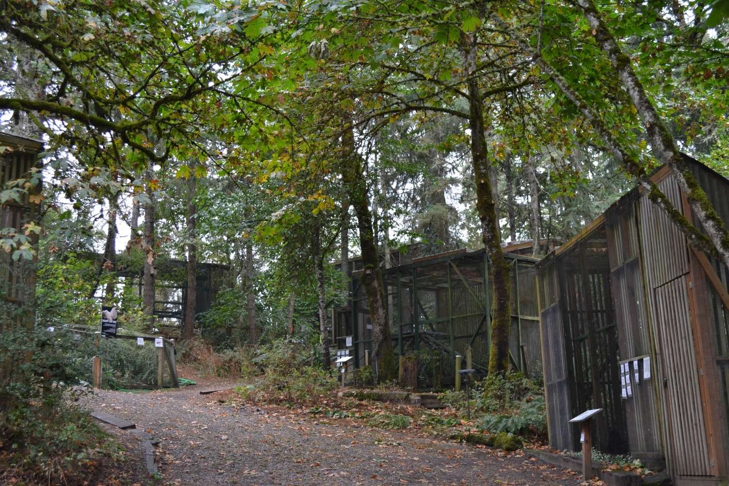 eugenes-secret-raptor-haven-for-birds-of-prey