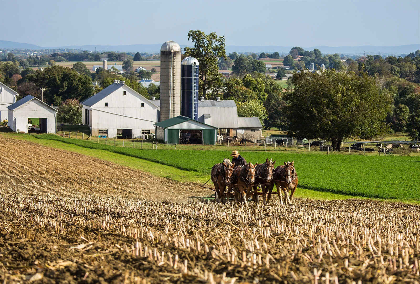Exploring-Hidden-Amish-Villages-Of-The-Midwest-TouristSecrets exploring-hidden-amish-villages-of-the-midwest-touristsecrets