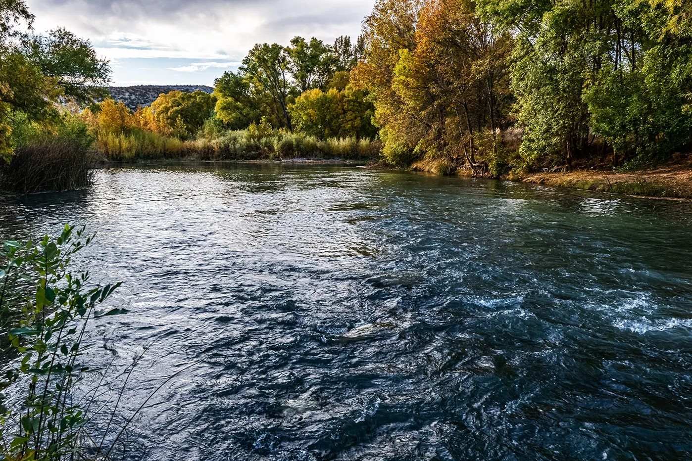 exploring-hidden-paths-at-fort-verde-arizona