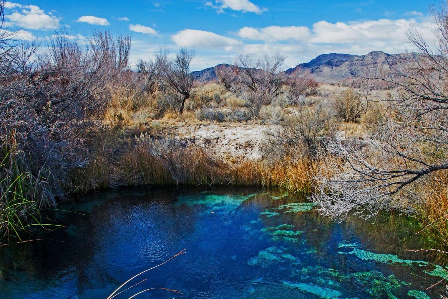 exploring-hidden-paths-in-amargosa-california