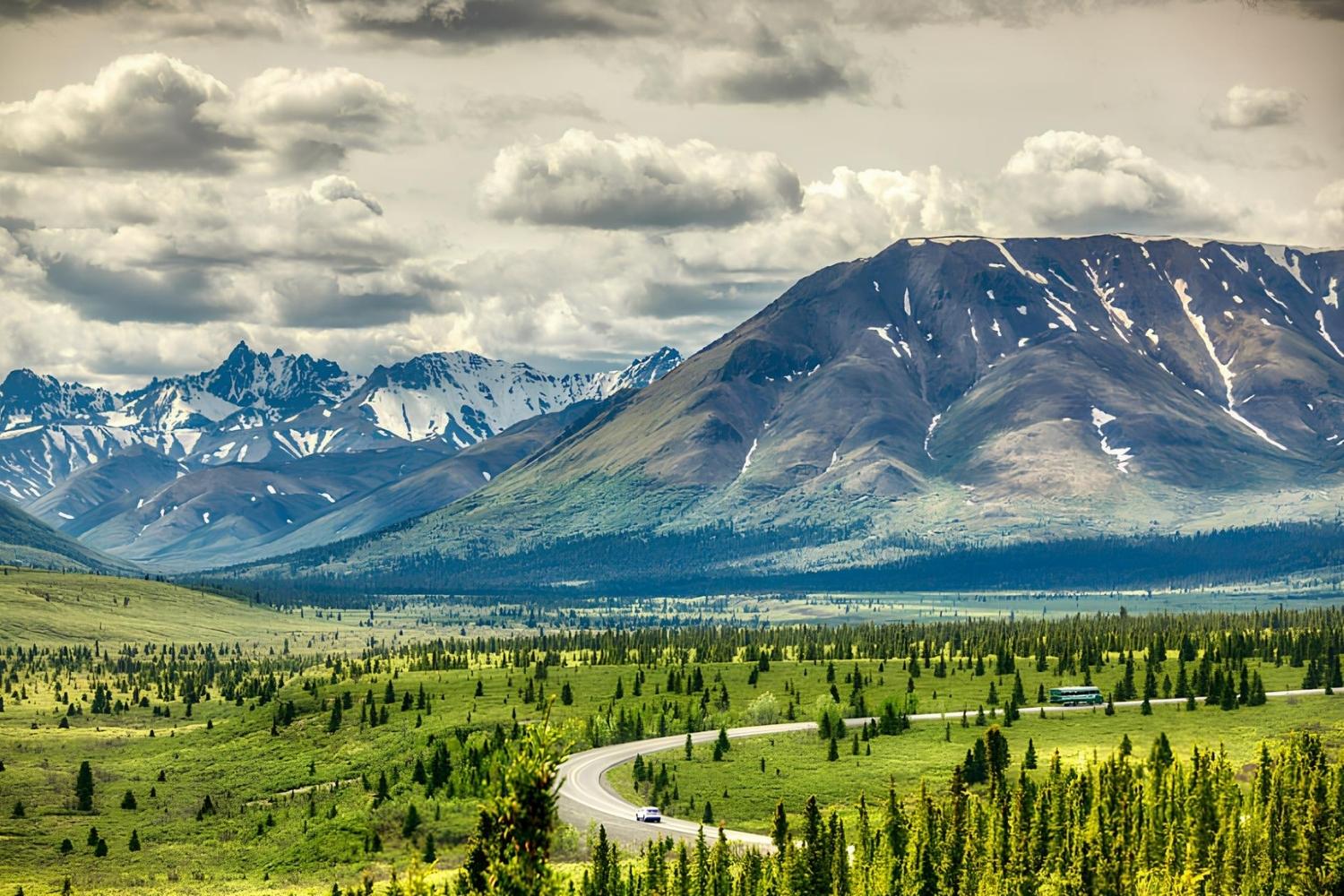 Exploring-Paths-In-Denali-Alaska exploring-paths-in-denali-alaska