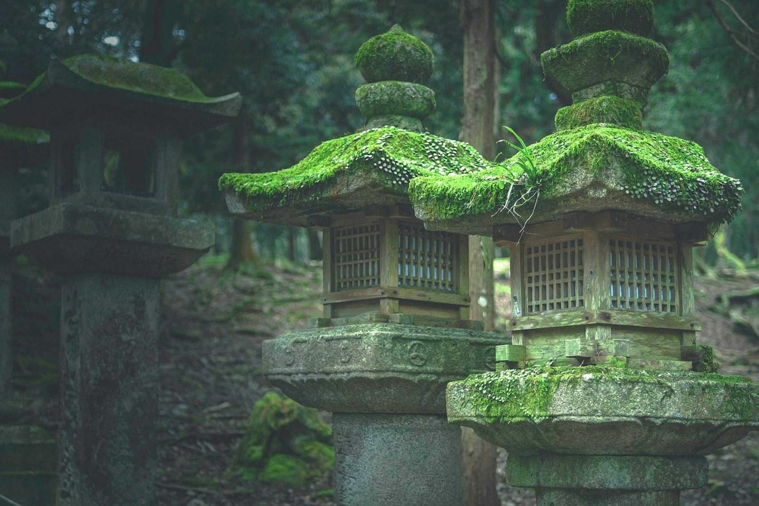 Forgotten-Temples-And-Shrines-In-America’s-Forests forgotten-temples-and-shrines-in-americas-forests