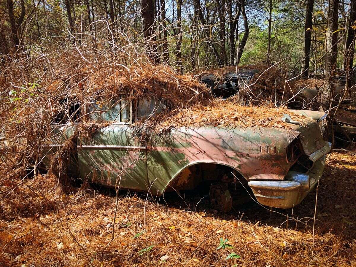 georgias-secret-old-car-city-usa-transformed-into-a-photography-paradise
