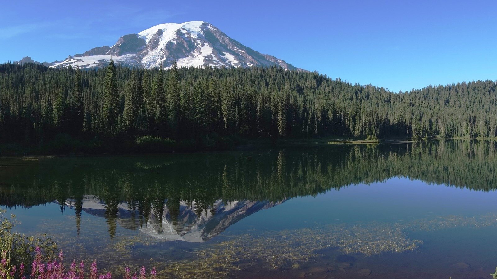 glimmering-beauty-of-mount-rainiers-reflection-lakes
