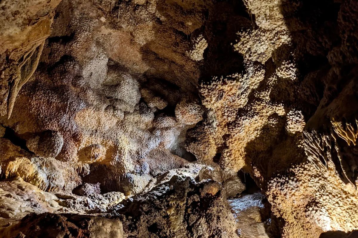 glimmering-wonders-of-jewel-cave-national-monument