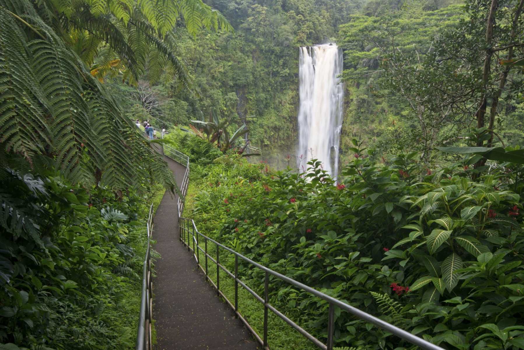 hawaiis-majestic-akaka-falls-adventure