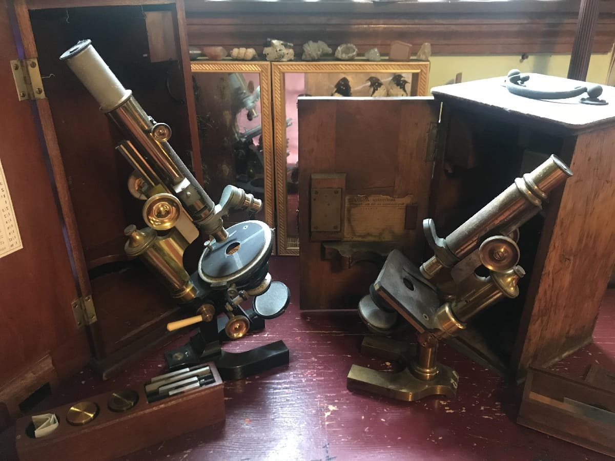 Hidden-Antique-Microscope-Repair-Shops-In-Woods-Hole hidden-antique-microscope-repair-shops-in-woods-hole