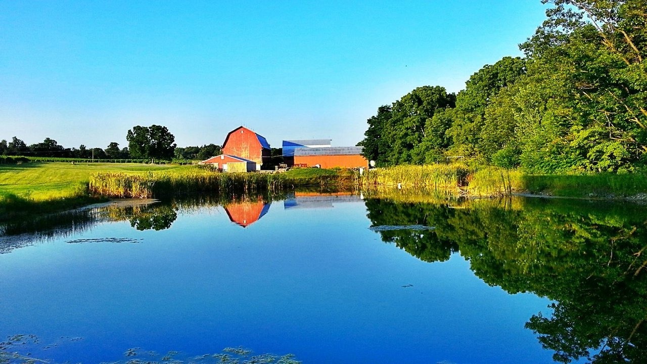 hidden-antique-saw-museum-of-seneca-falls-secret-woodworking-collection
