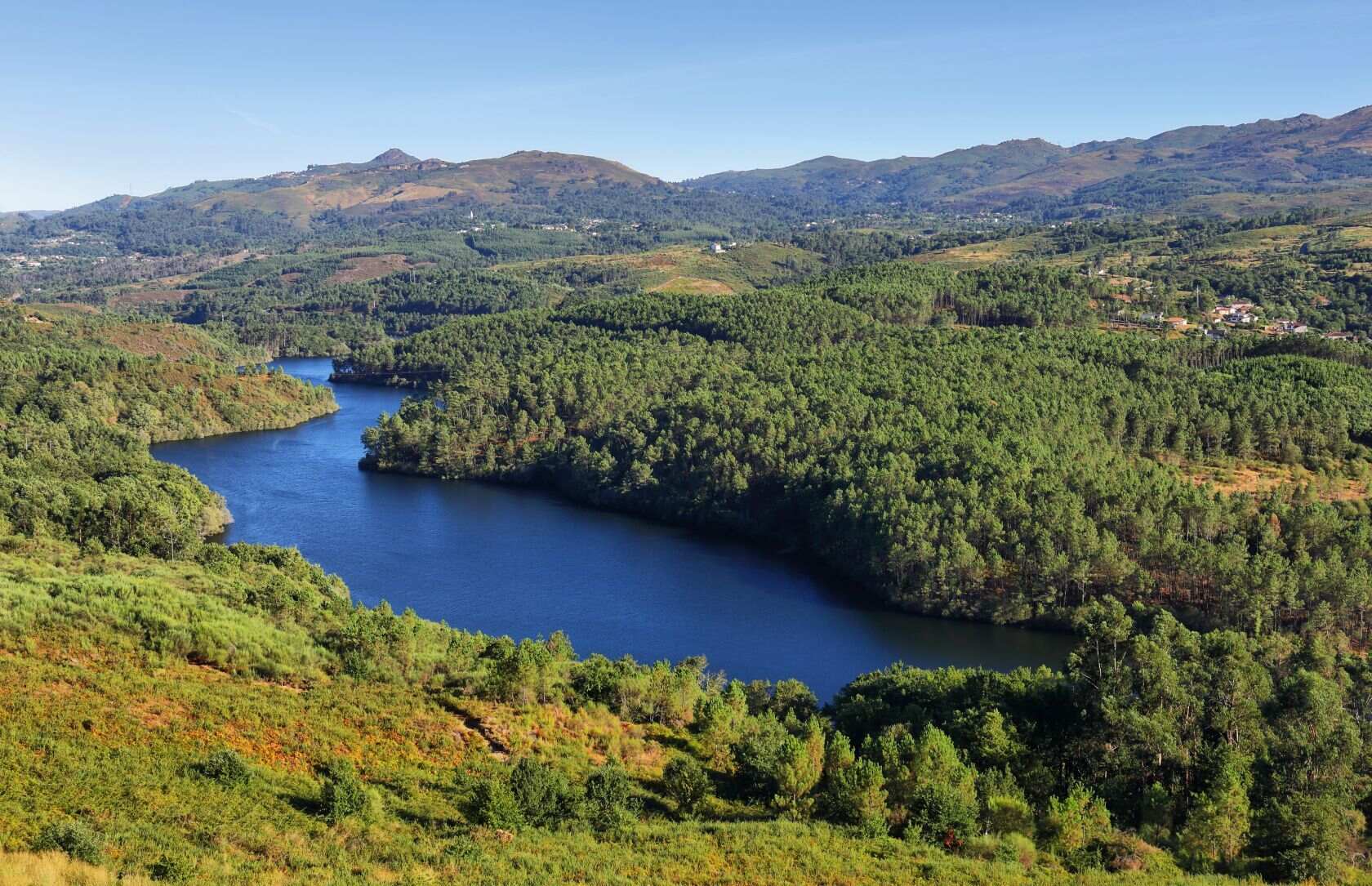 hidden-blue-forest-portugals-secret-woodland