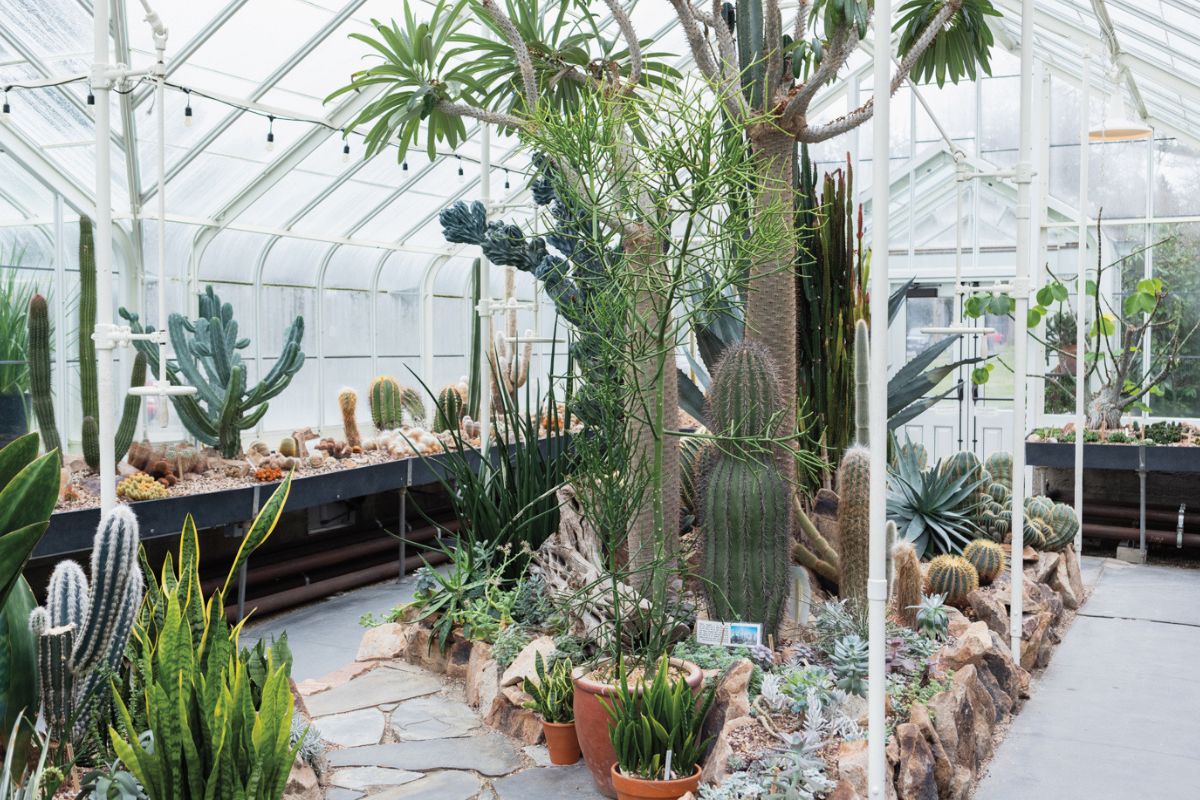 hidden-bonsai-gardens-of-the-pacific-northwest