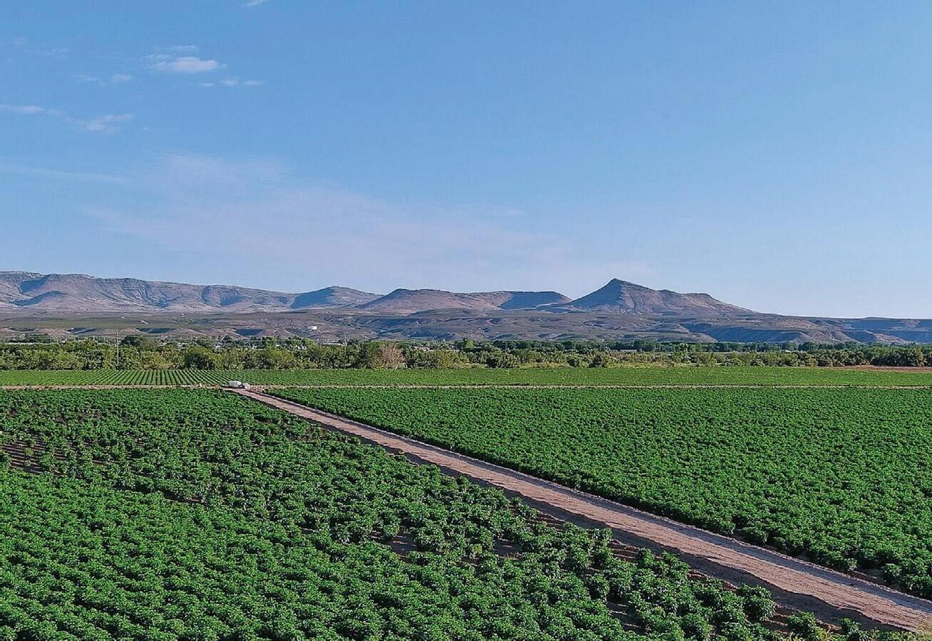 Hidden-Flavor-Paths-Of-New-Mexico8217s-Hatch-Valley hidden-flavor-paths-of-new-mexicos-hatch-valley