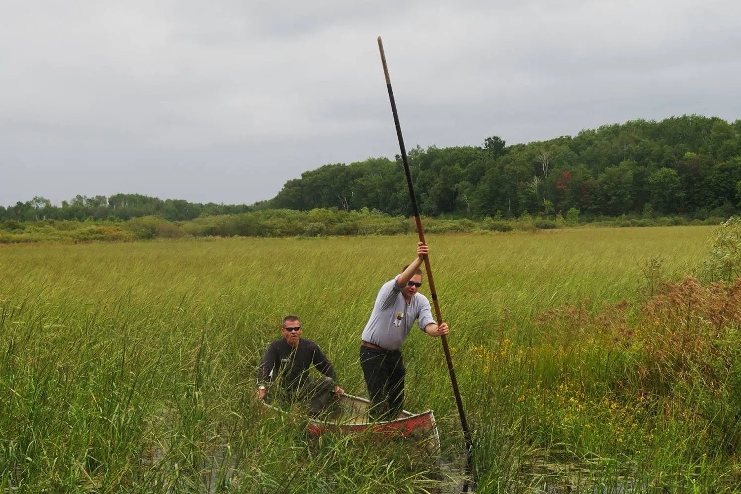 hidden-flavor-trails-wild-rice-harvests-of-minnesota