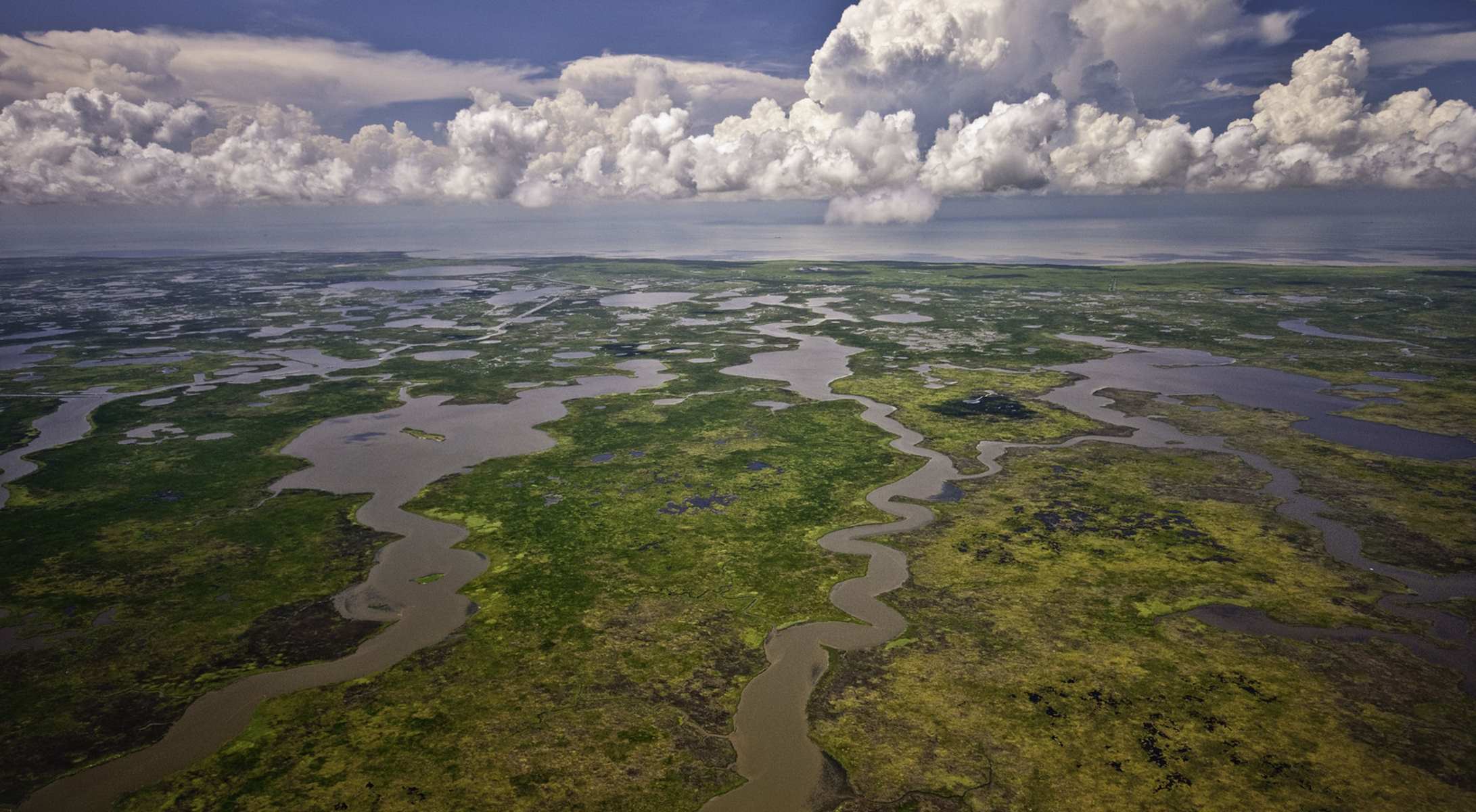 Hidden-Floating-Islands-Of-Louisiana8217s-Wetlands-TouristSecrets hidden-floating-islands-of-louisianas-wetlands-touristsecrets