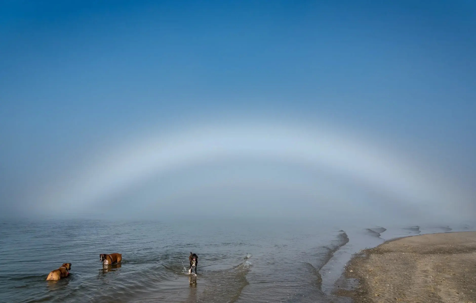 Hidden-Fogbow-Hotspots-Of-The-Pacific-Coast hidden-fogbow-hotspots-of-the-pacific-coast