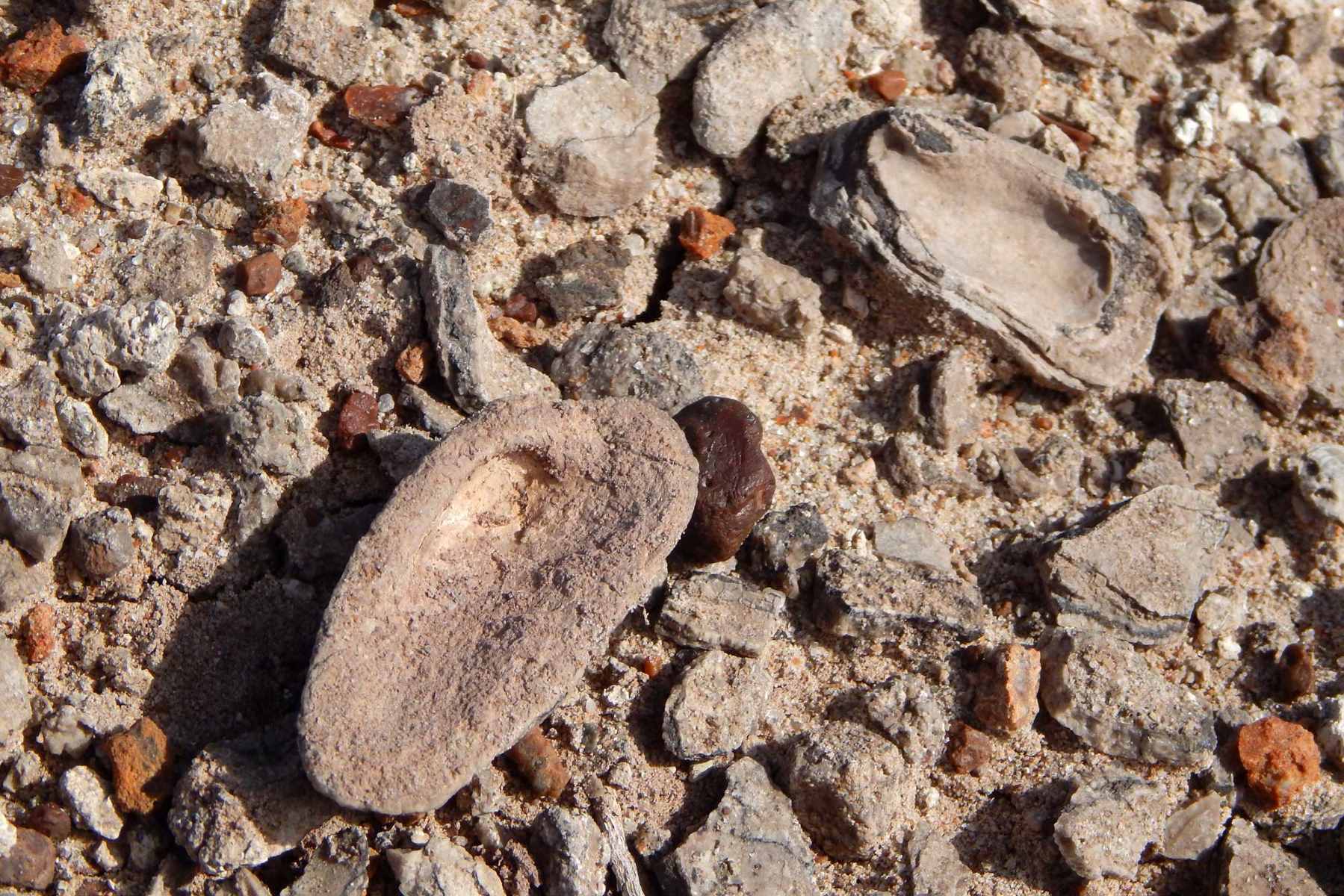 Hidden-Fossil-Dunes-Of-The-Colorado-Plateau hidden-fossil-dunes-of-the-colorado-plateau