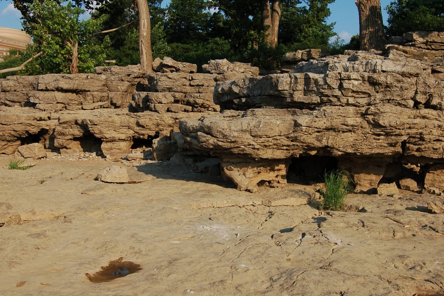 Hidden-Fossil-Shell-Reefs-At-Falls-Of-The-Ohio-Indiana hidden-fossil-shell-reefs-at-falls-of-the-ohio-indiana