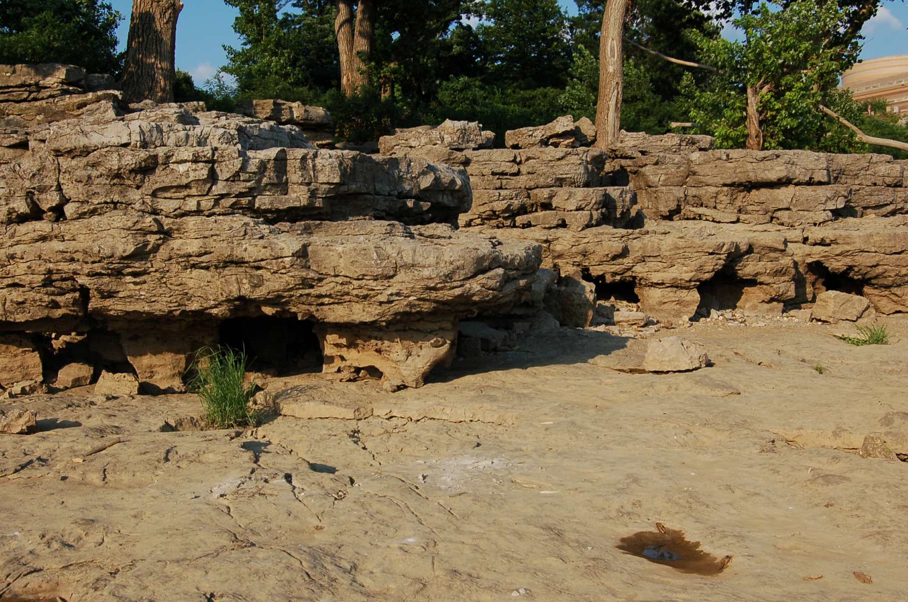 Hidden-Fossil-Shell-Reefs-Of-The-Falls-Of-The-Ohio hidden-fossil-shell-reefs-of-the-falls-of-the-ohio