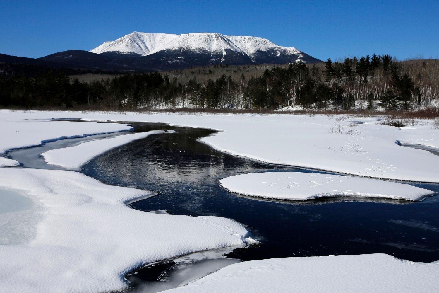 Hidden-Frost-Polygon-Fields-In-Maine8217s-Baxter-State-Park hidden-frost-polygon-fields-in-maines-baxter-state-park