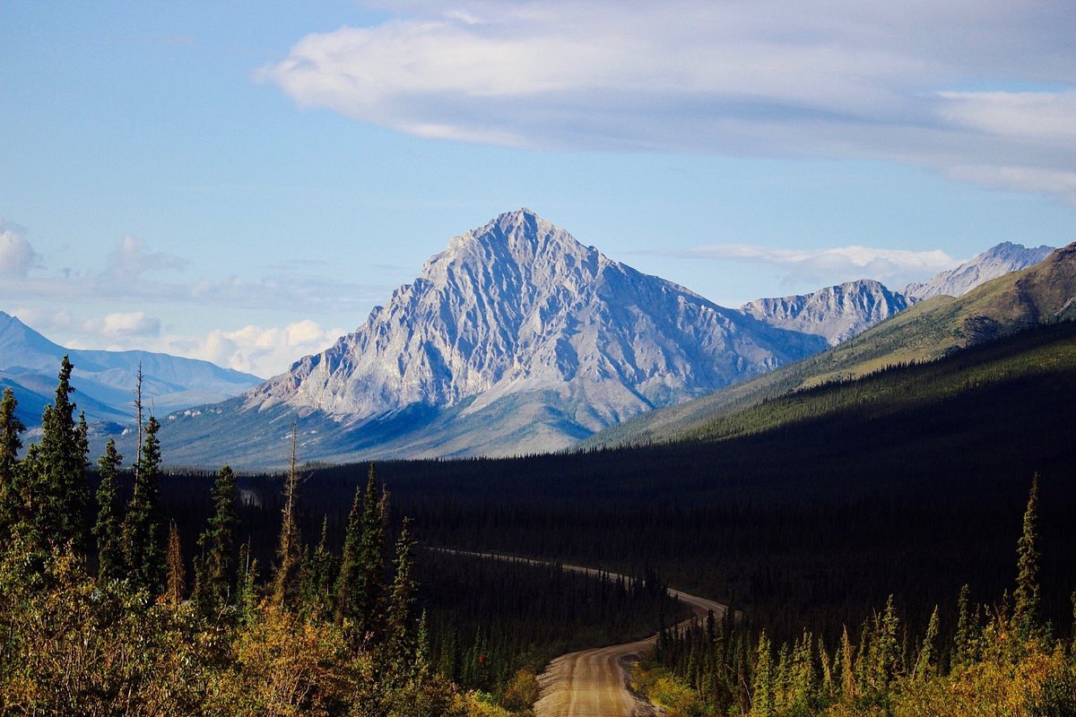 Hidden-Frost-Polygon-Fields-Of-Alaska8217s-Brooks-Range hidden-frost-polygon-fields-of-alaskas-brooks-range