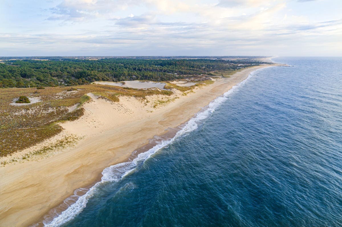 Hidden-Fulgurite-Beaches-Of-Cape-Henlopen hidden-fulgurite-beaches-of-cape-henlopen