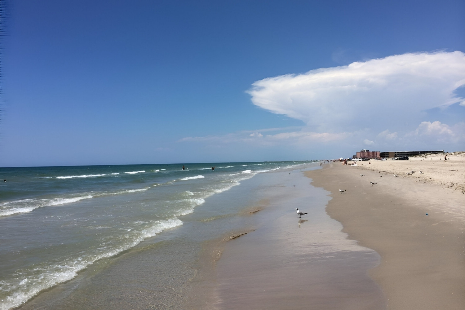 Hidden-Fulgurite-Beaches-Of-Texas8217-Padre-Island hidden-fulgurite-beaches-of-texas-padre-island