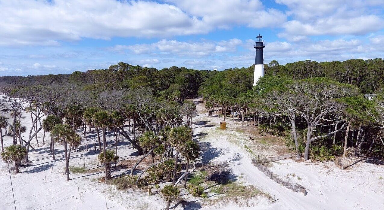 Hidden-Fulgurite-Forests-Of-South-Carolina8217s-Hunting-Island hidden-fulgurite-forests-of-south-carolinas-hunting-island