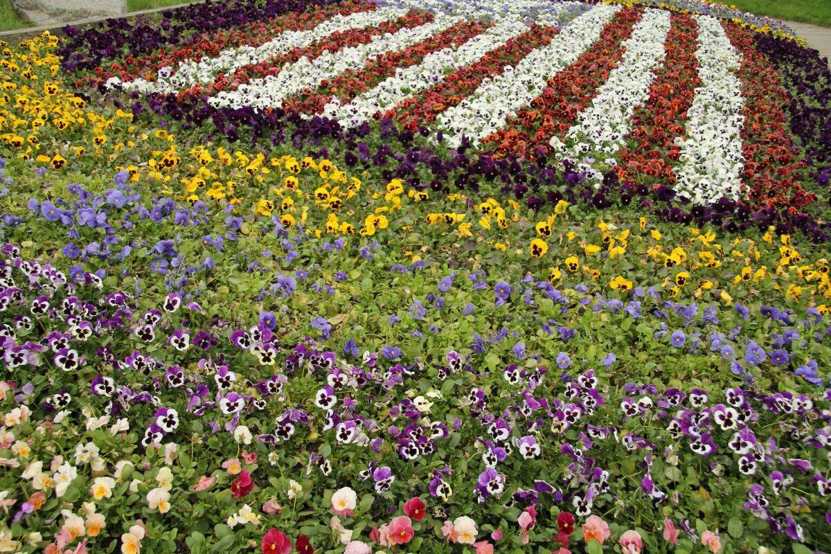 Hidden-Gardens-Of-Rochester8217s-Flower-City hidden-gardens-of-rochesters-flower-city