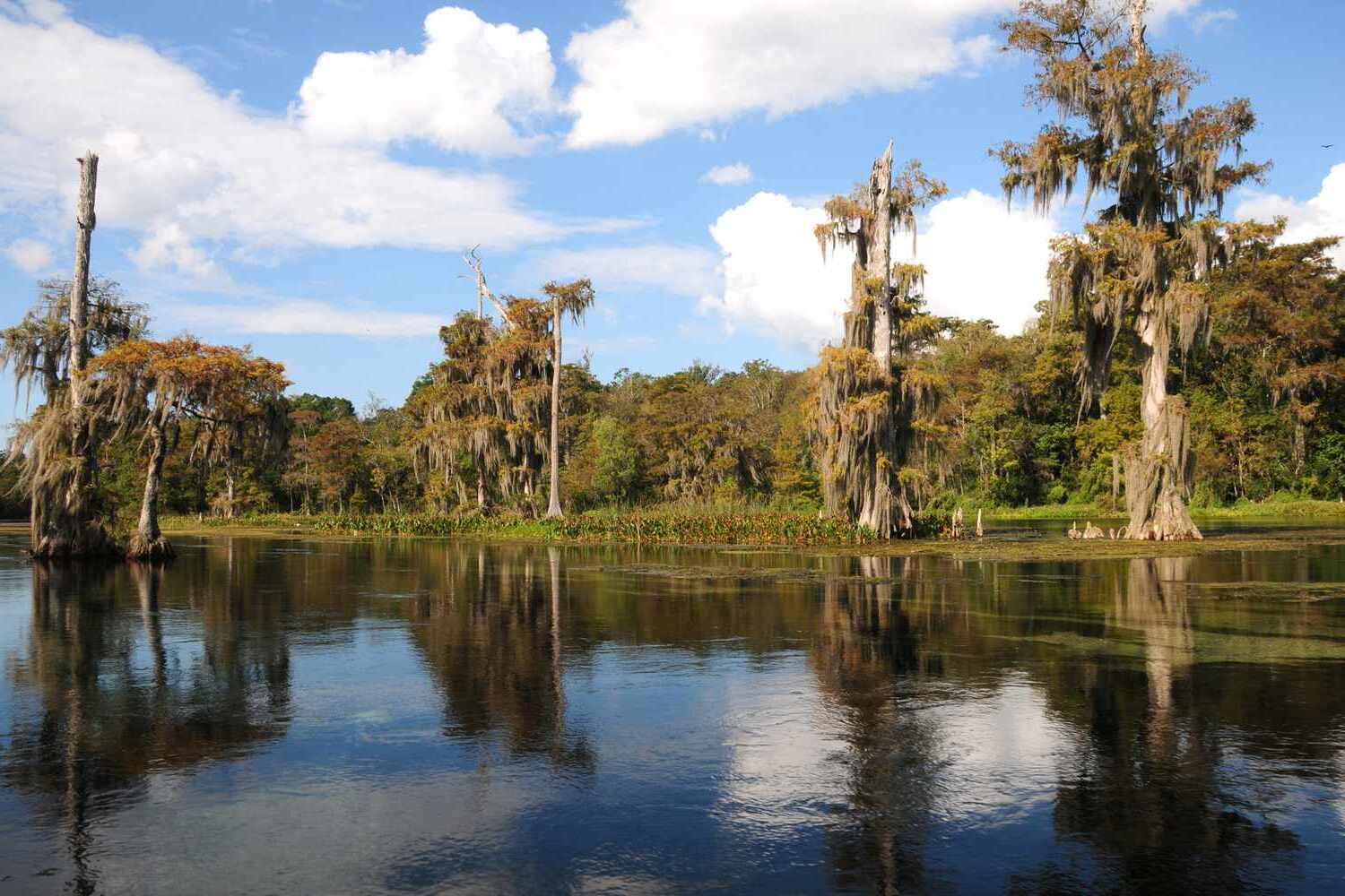 Hidden-Gems-Stunning-State-Parks-In-Florida-TouristSecrets hidden-gems-stunning-state-parks-in-florida-touristsecrets