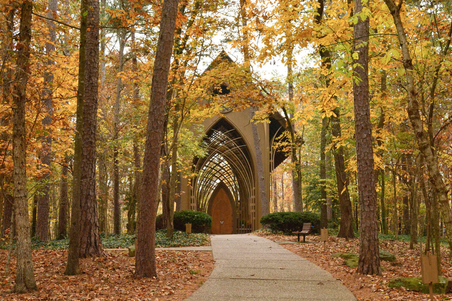 hidden-glass-chapel-in-arkansas-woods