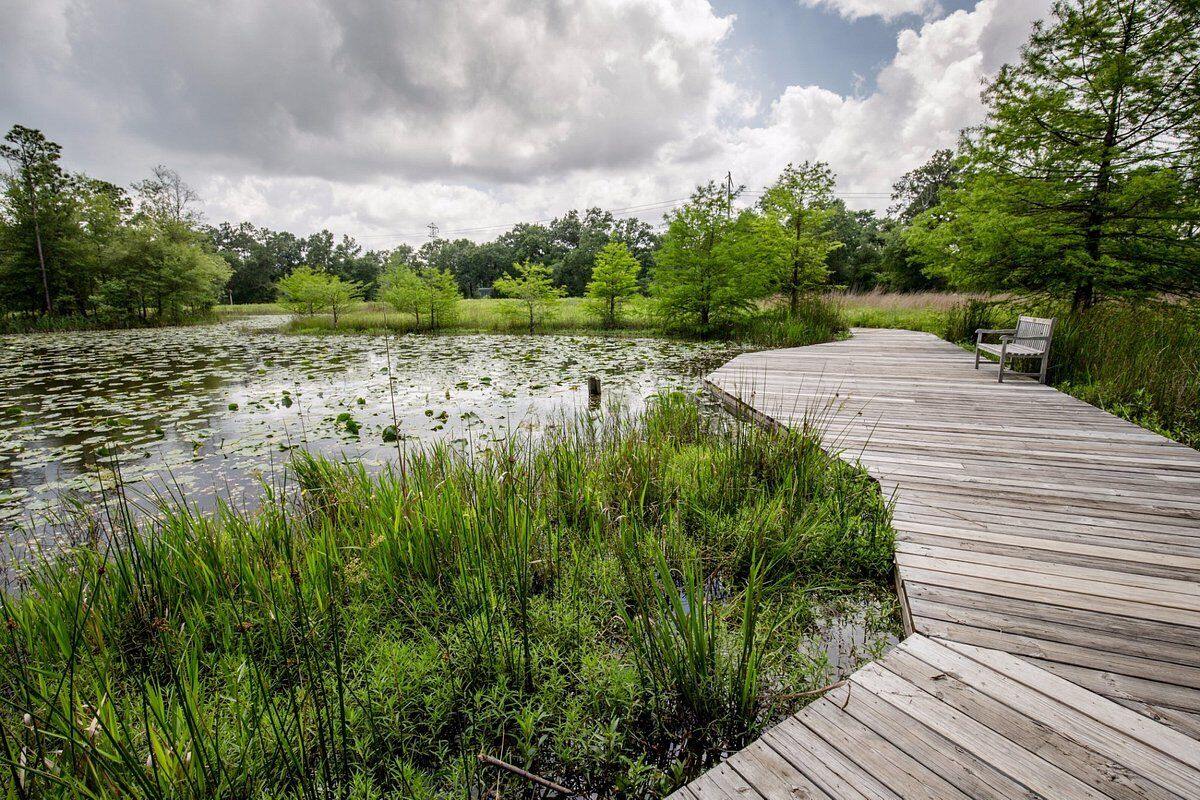 hidden-green-spaces-in-houston-urban-nature-retreats