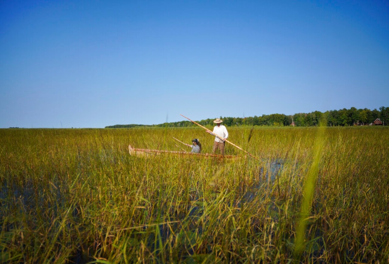Hidden-Harvesting-Grounds-Of-Wisconsin8217s-Wild-Rice-TouristSecrets hidden-harvesting-grounds-of-wisconsins-wild-rice-touristsecrets