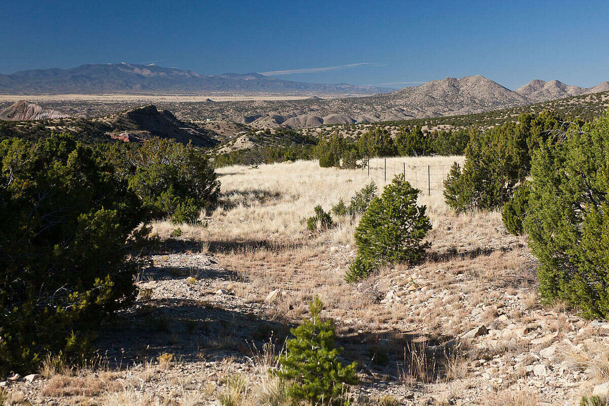 Hidden-Mines-Of-Cerrillos-New-Mexico hidden-mines-of-cerrillos-new-mexico