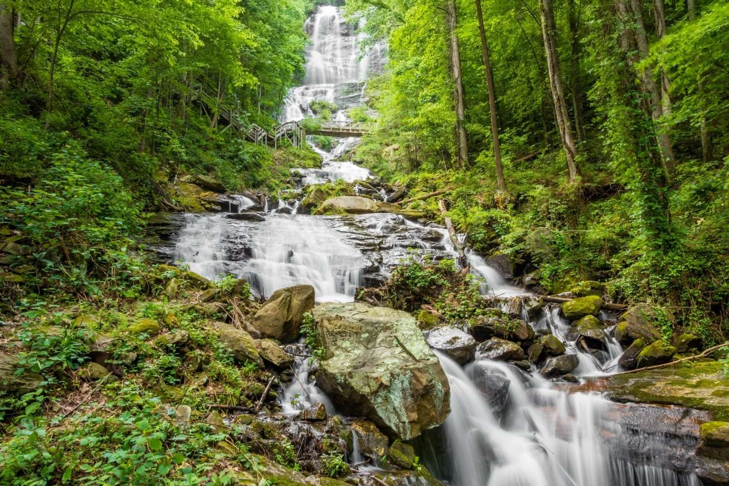 hidden-mysteries-in-dahlonegas-forests