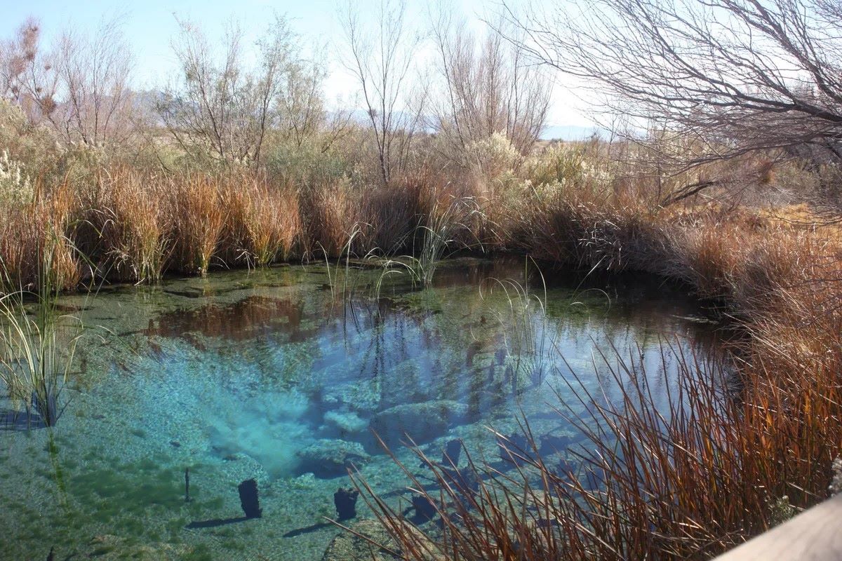 Hidden-Oases-In-The-Mojave-Desert-Secrets-Revealed hidden-oases-in-the-mojave-desert-secrets-revealed