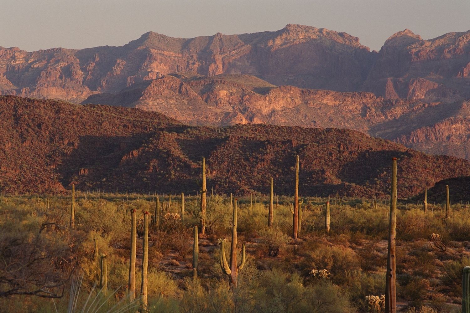 hidden-paths-of-ajo-arizona