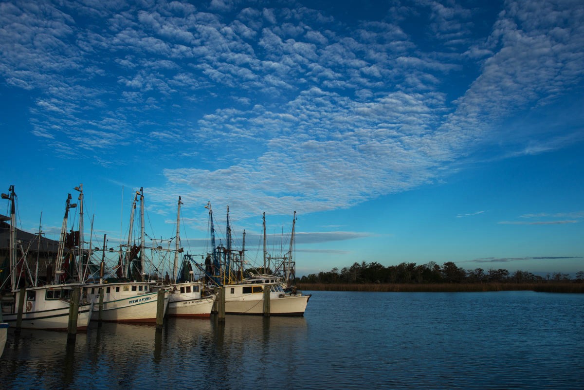 Hidden-Paths-Of-Apalachicola8217s-Waterways hidden-paths-of-apalachicolas-waterways