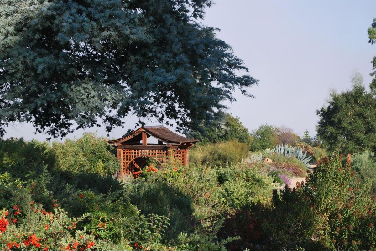 hidden-paths-of-ojai-california