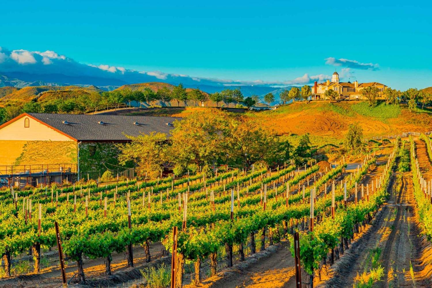 hidden-paths-of-temecula-california