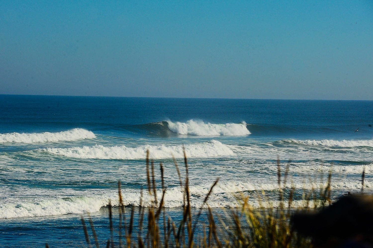 hidden-paths-of-westport-washingtons-waters