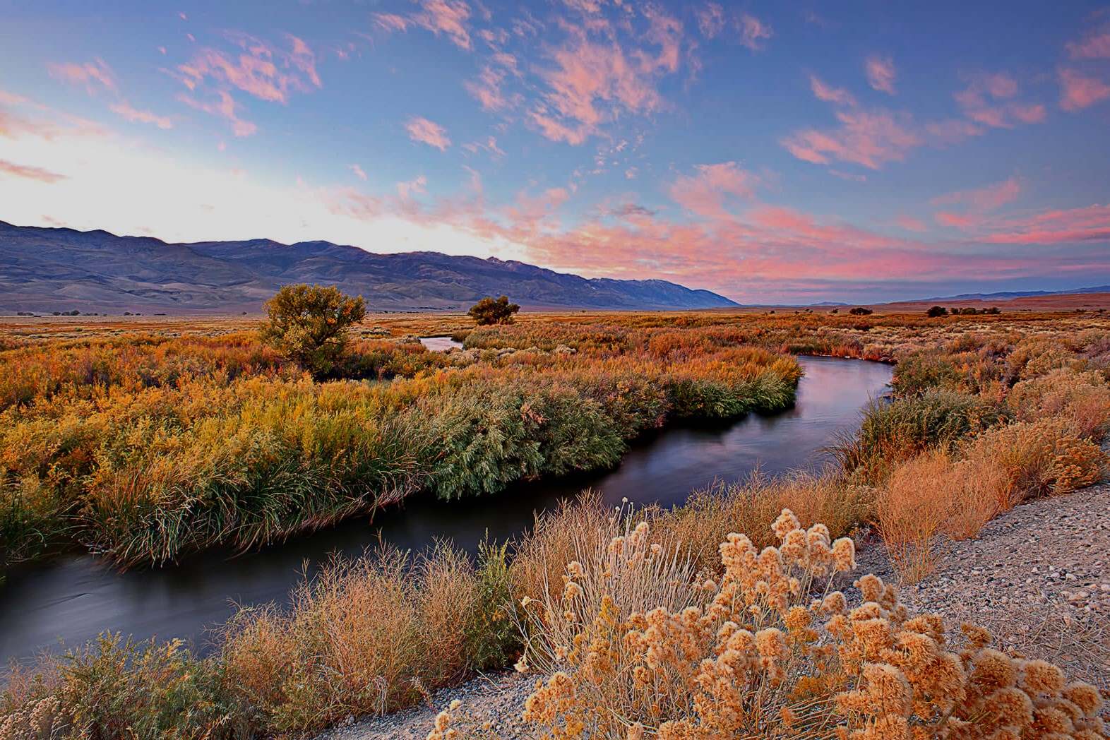 hidden-paths-through-owens-valley-california