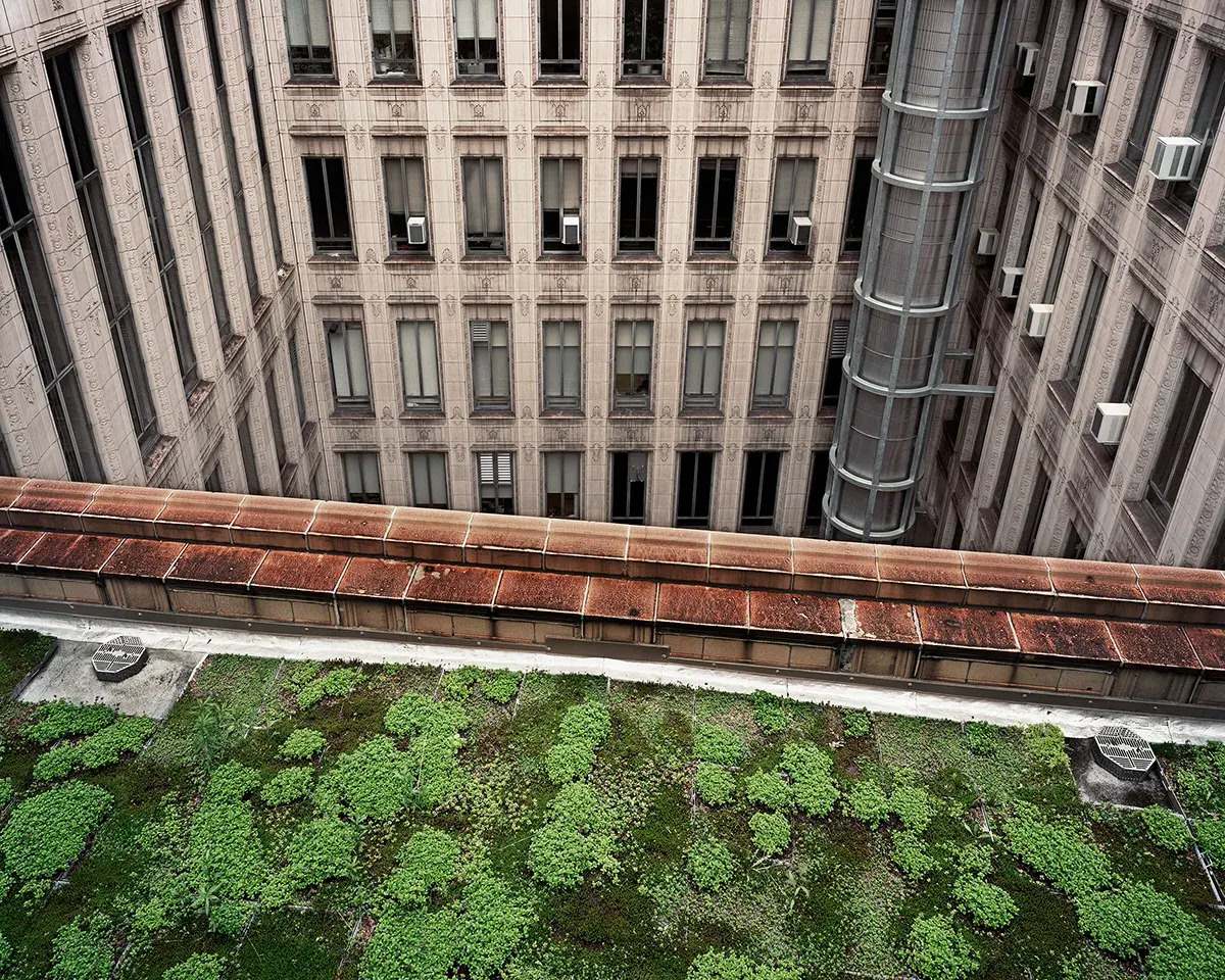 Hidden-Rooftop-Gardens-Of-Chicago hidden-rooftop-gardens-of-chicago