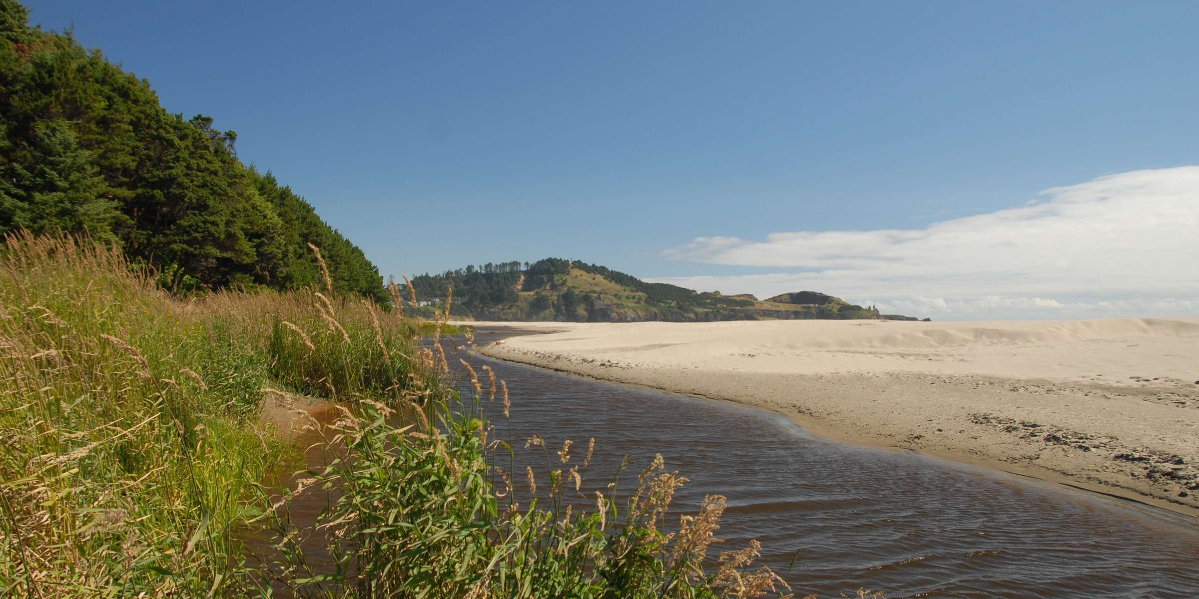 Hidden-Sand-Dollar-Beaches-Of-Oregon8217s-Agate-Beach-State-Recreation-Site hidden-sand-dollar-beaches-of-oregons-agate-beach-state-recreation-site