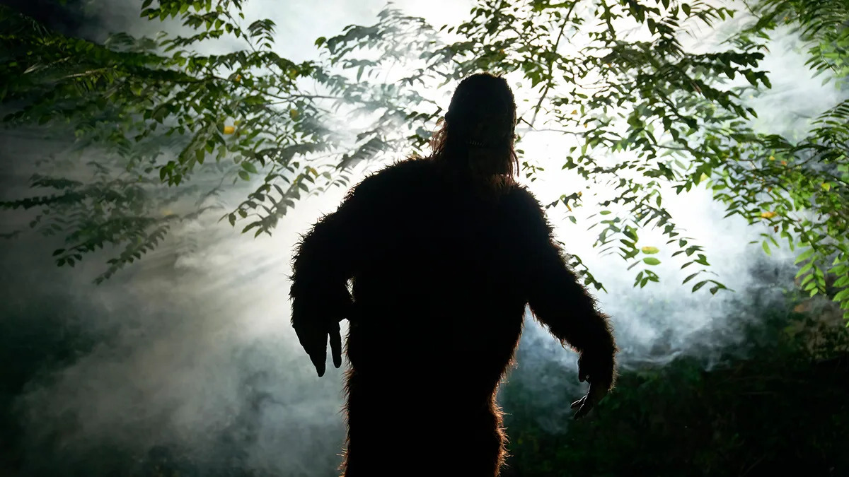 Hidden-Sasquatch-Sighting-Spots-In-The-Pacific-Northwest hidden-sasquatch-sighting-spots-in-the-pacific-northwest
