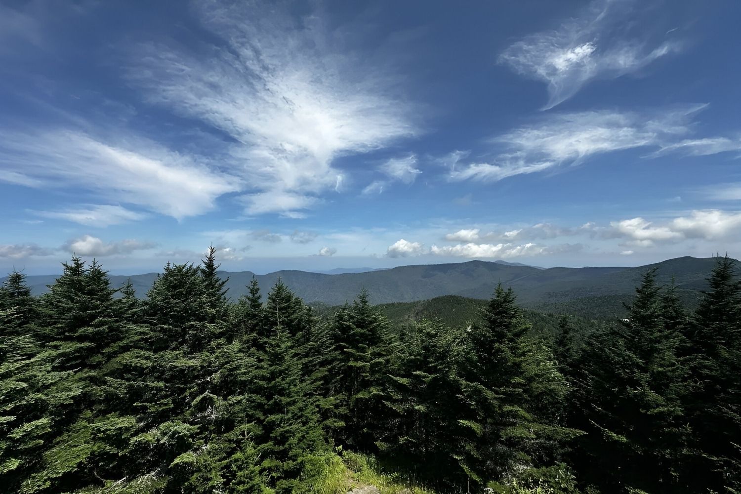 hidden-secrets-of-montreats-forests