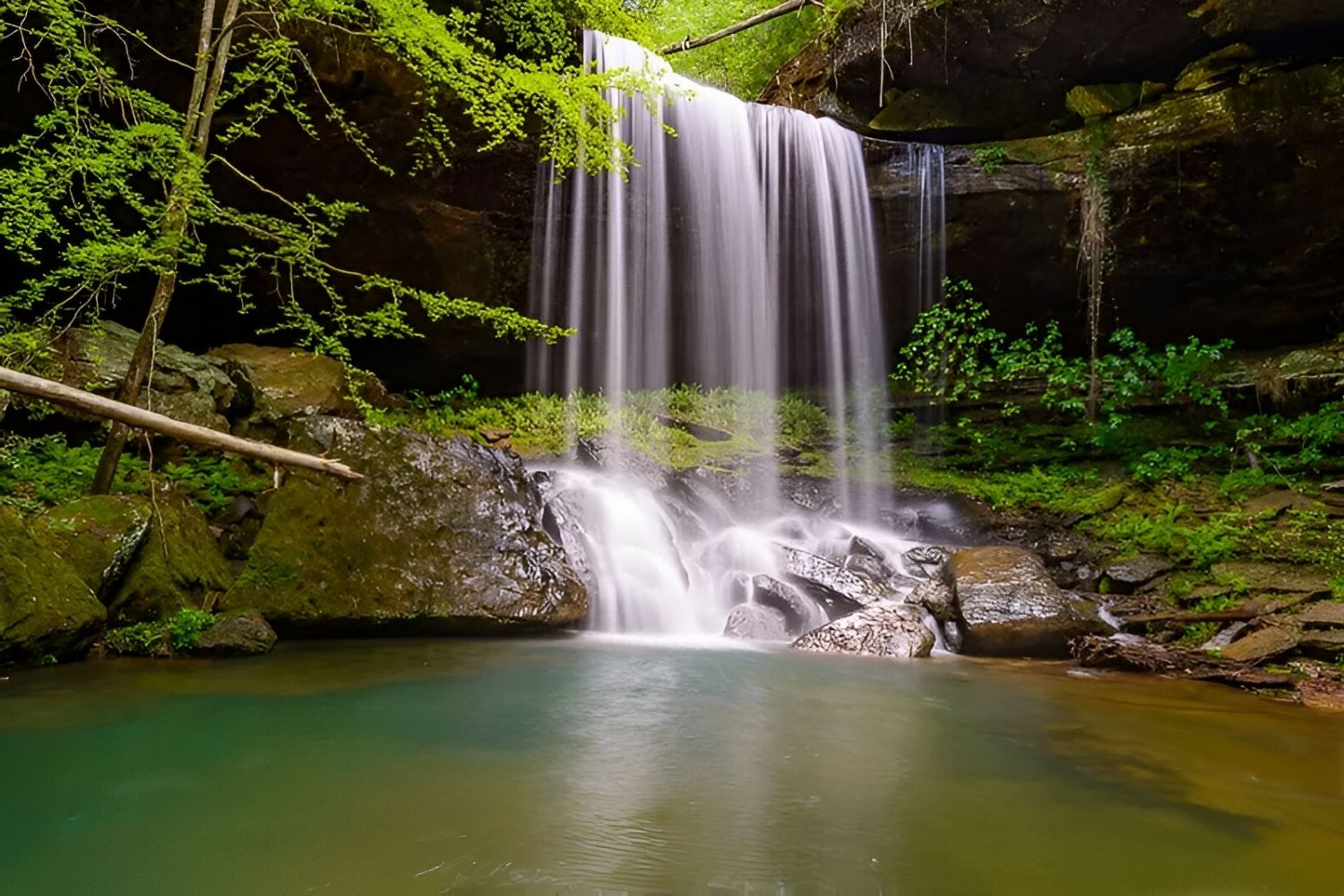 hidden-singing-waterfalls-of-alabamas-bankhead-forest