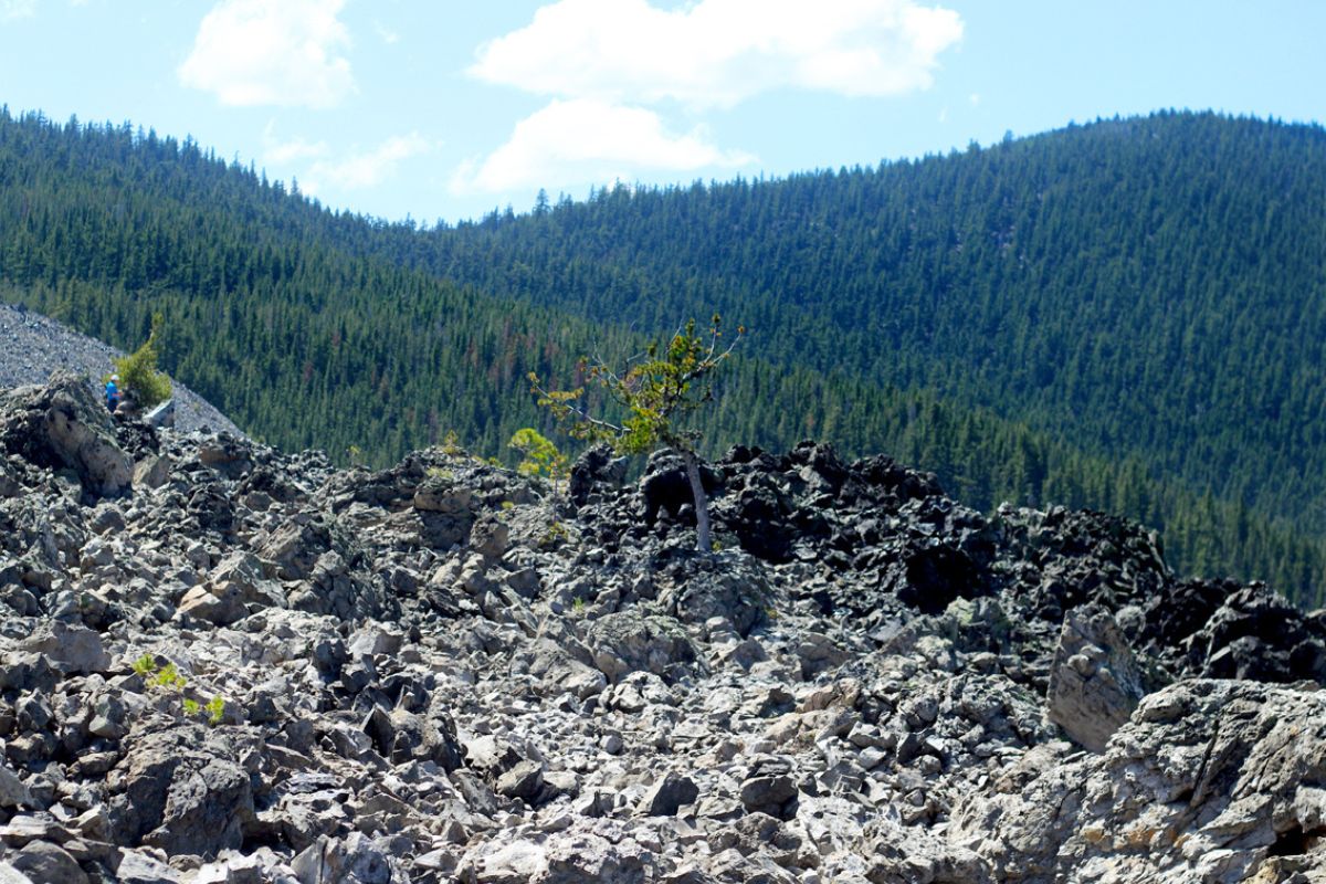 Hidden-Spherulite-Beaches-Of-Oregon8217s-Obsidian-Flows hidden-spherulite-beaches-of-oregons-obsidian-flows